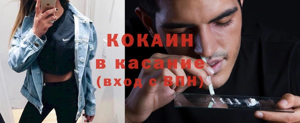 прущие грибы Новозыбков