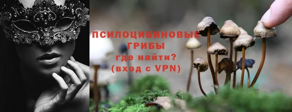 гашик Алзамай