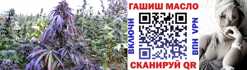 как найти наркотики Нижние Серги ТГК вейп